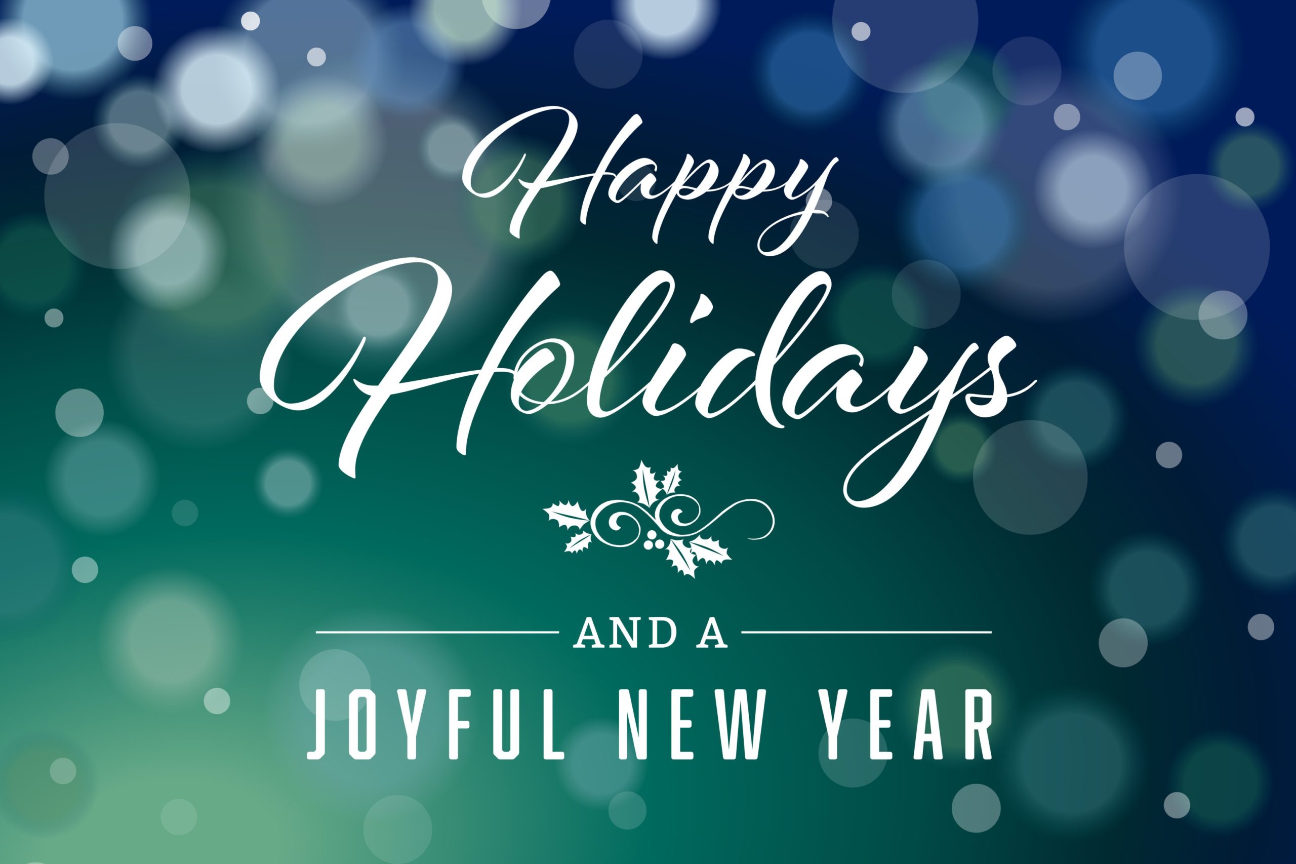 Grateful for 2024, Excited for 2025: Wishing You a Joyful Holiday Season!